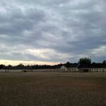 IMG-20260719-WA0024